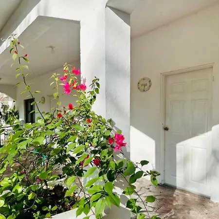 La Casita Inn Bustamante Exterior foto