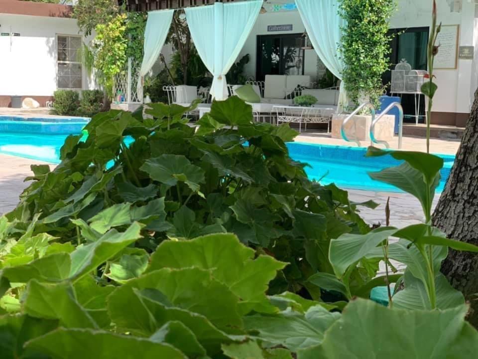 La Casita Pensión Bustamante